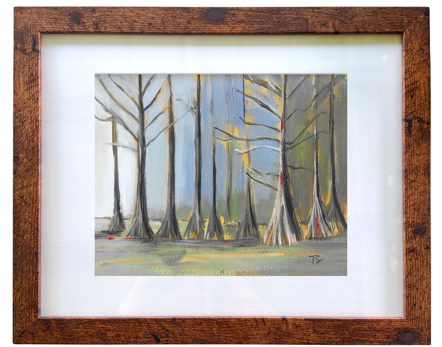 Cypress - 8 x 10 Framed to 11 x 14