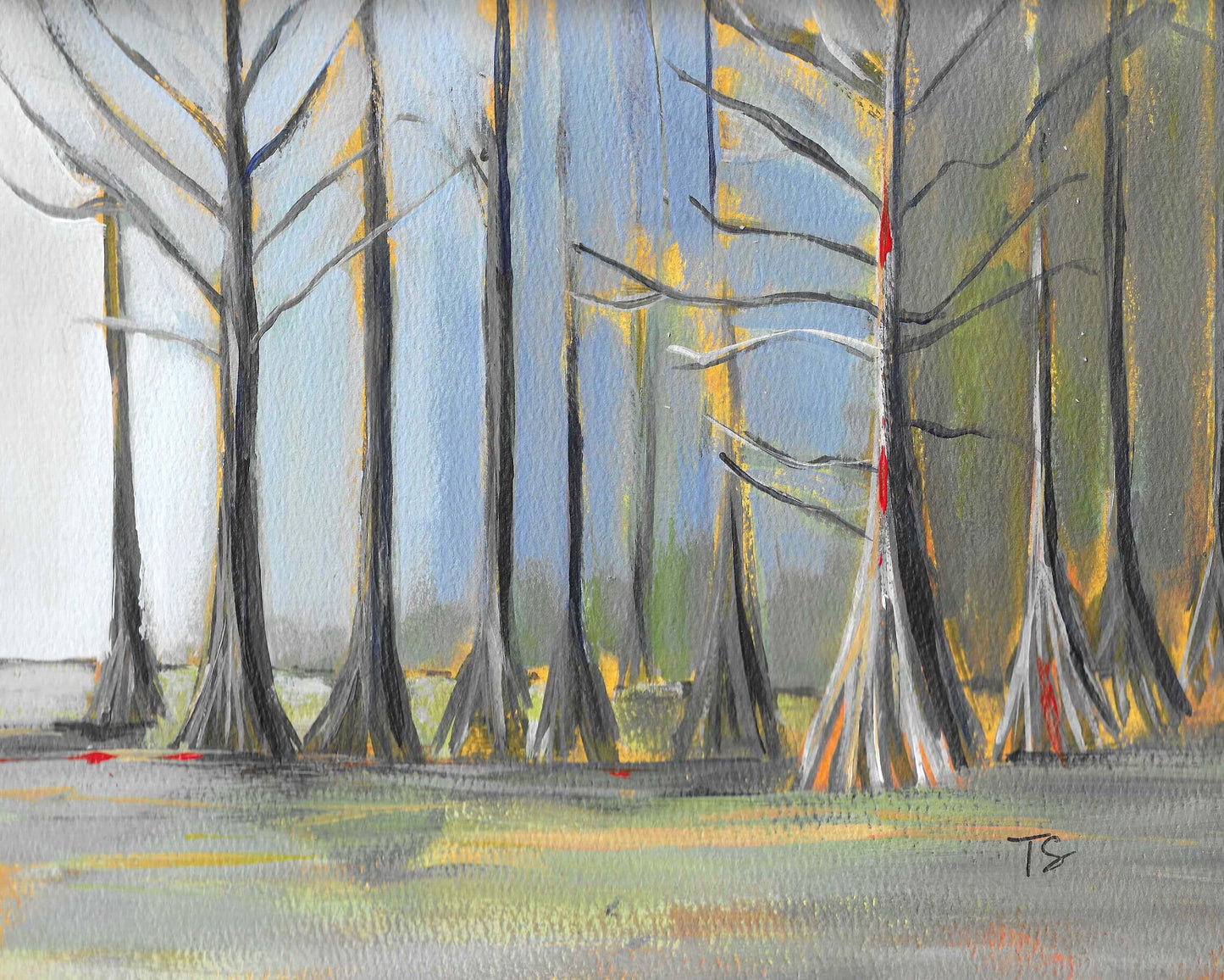 Cypress - 8 x 10 Framed to 11 x 14