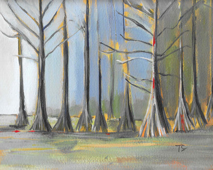 Cypress - 8 x 10 Framed to 11 x 14