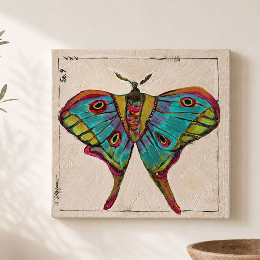 Kismet - 10 x 10