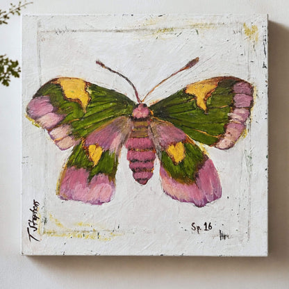 Rosy - Original Butterfly Painting by artist Teri Stephens, depicting a Rosy Maple Moth in muted tones of pink, green, and yellow.