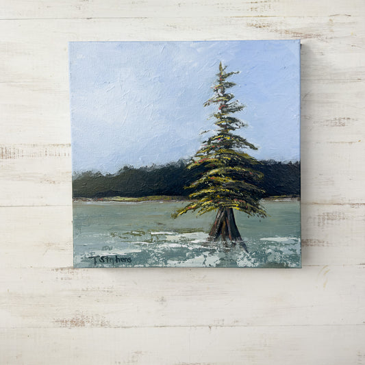 Painting of a lone tree by a body of water with a blue sky. "Stand" by Teri Stephens